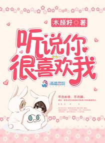 轿