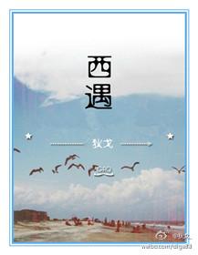 熊猫巨星路