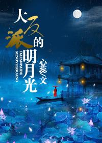 站住,警察临检