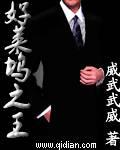老板娘的全能护卫